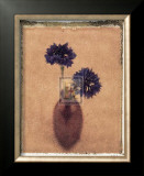Buy Cornflowers at AllPosters.com