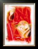 Buy Colours of Summer IV at AllPosters.com