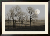 Buy November Moon at AllPosters.com