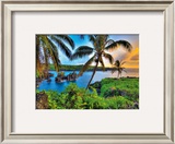 Buy Where Da Coconuts Grow at AllPosters.com