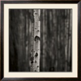 Buy Equilibrium at AllPosters.com