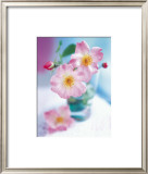 Buy Dog Roses at AllPosters.com