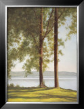 Buy Sunlit Trees II at AllPosters.com