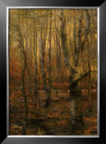 Buy Into The Forest I at AllPosters.com
