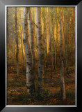 Buy Into The Forest II at AllPosters.com