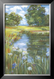 Pond