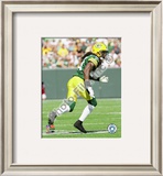 Al Harris 2009