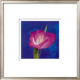 Buy Summer Colours IV at AllPosters.com