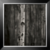 Buy Equilibrium at AllPosters.com