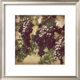 Buy Vintage Grape Vines III at AllPosters.com