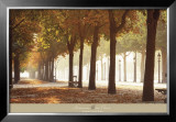 Buy Champs-Elysees at AllPosters.com