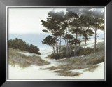 Buy Sand Hill at AllPosters.com