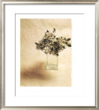 Buy Cut Flowers II at AllPosters.com