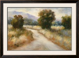 Buy Open Country I at AllPosters.com
