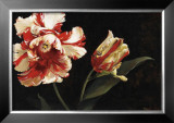 Buy Resplendent at AllPosters.com