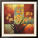 Orange Orchid