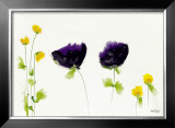 Untitled IV