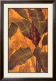Buy Banana Blossom I at AllPosters.com