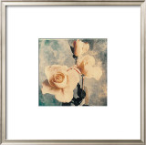 Buy Rose at AllPosters.com