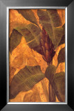 Buy Banana Blossom I at AllPosters.com