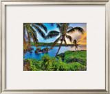 Buy Where Da Coconuts Grow at AllPosters.com