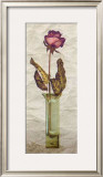 Buy Rose in a Pot III at AllPosters.com
