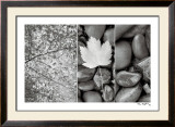 Nature Trio