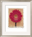 Gerbera
