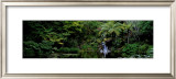Buy Ayrlies, Auckland, New Zealand at AllPosters.com