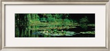 Buy Nympheas at AllPosters.com