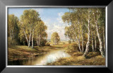 Birches in Springtime