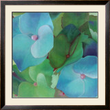 Buy Hydrangeas at AllPosters.com
