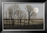 Buy November Moon at AllPosters.com