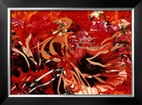 Buy Pearls before Swine, Flowers before Flames at AllPosters.com