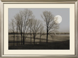 Buy November Moon at AllPosters.com