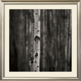 Buy Equilibrium at AllPosters.com