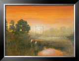 Buy Wetlands at AllPosters.com