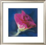 Buy Summer Colours II at AllPosters.com