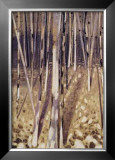 Buy Bosque III at AllPosters.com