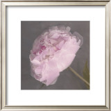 Buy Fleur at AllPosters.com