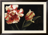 Buy Resplendent at AllPosters.com