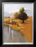 Buy Sage Sensation at AllPosters.com
