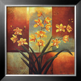 Orange Orchid