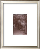 Italian Gardens IV