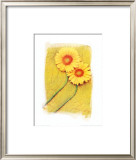 Buy Colours of Summer II at AllPosters.com