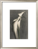 Buy Two Lilies I at AllPosters.com