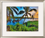 Buy Where Da Coconuts Grow at AllPosters.com