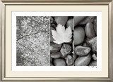 Nature Trio