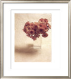 Buy Cut Flowers IV at AllPosters.com