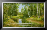 Buy Birch Grove Near Pokrovskoje at AllPosters.com